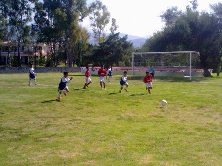 Vaya temporada de debut que ha tenido el equipo de la categoría infantil de Club Albatros - Olimpia 
